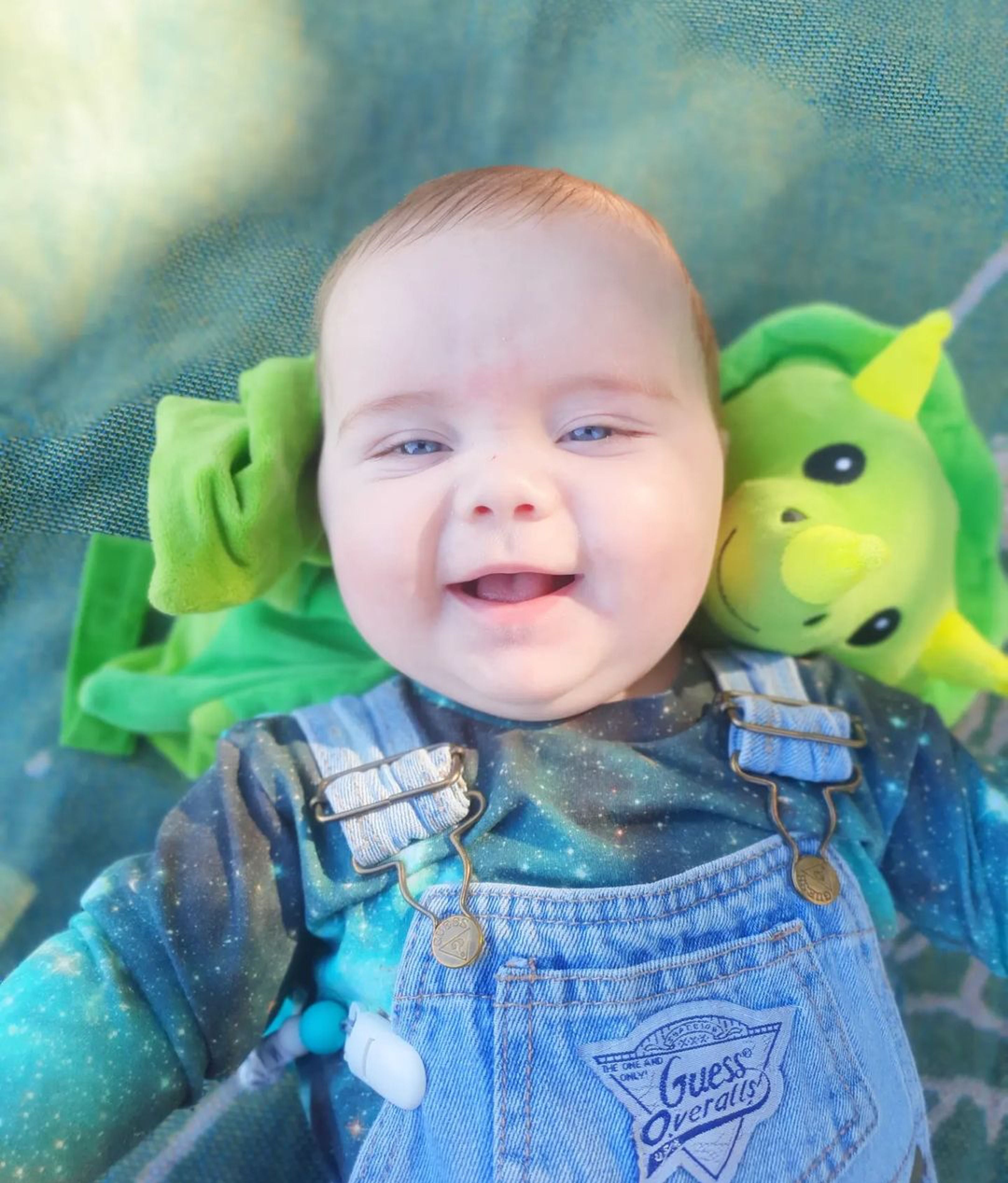 Dash the Dinosaur